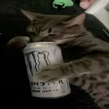 ᴠɪᴋxɪᴜᴋ||защита|•
