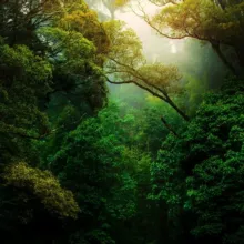 Nature Landscape Animal Photography Videos - TikTok Backup by AppleEditing [Mountains / Glaciers / Oceans / Switzerland]