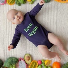 Tierleidfrei leben, vegane Ernährung, Lebensmittel, tierleidfreie Rezepte und sonstige tierleidfreie Produkte
