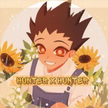hunter x hunter (closed)