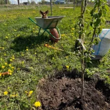 Усадьба Колесниковых