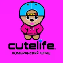 Poms62.ru