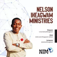 Nelson Iheagwam Ministries