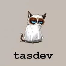 Tashkent developers
