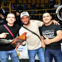CRIADERO CIRUELOS