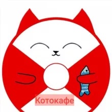 Котокафе MoreКот