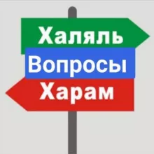 Халяль надзор / Вопросы и предложения