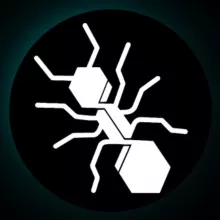 Ants Terra