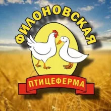 🐣Филоновская птицеферма🐥