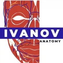 IvanovAnatomy💀Кадавер-курсы