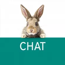 Pro.Expert Chat - Vaillant, Protherm, VGR