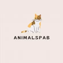 animalspab - блог о животных