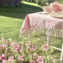 ᯀ ׄ 🌷 𝂻 𝗌𝖾𝗅𝖿𝖼𝖺𝗋𝖾 𝖼𝗅𝗈𝗐 ݂ ⫒