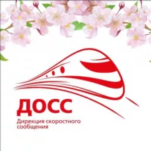 ДОСС.Инфо