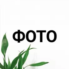 Фото контент