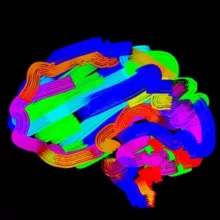 Neurology, Neuroradiology, Neurosonology & Neurophysiology