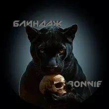 Блиндаж BONNIE с Б&K