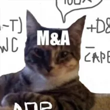 M&A | IB