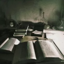 птица и книжки