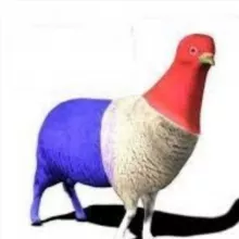 LE MOUGEON 🐑 FRANCAIS