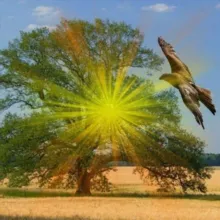 ❣️Wir❣️ Gemeinsam in die neue Zeit 🕊🪶