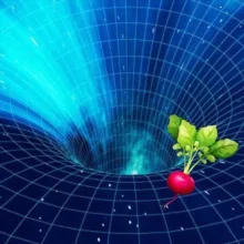 MathLiveOpen News