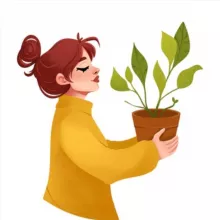 СУККУЛЕНТИУМ