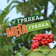 СЦ "Мегагрядка", Сеть магазинов «Грядка»
