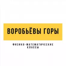 Приём 2025. Лицей «Воробьёвы горы». Физико-математические классы на Донской и в Ясенево