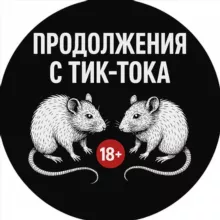 Крысиный вайб