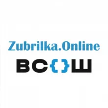 ВСОШ 2024 Ответы и Задания