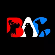 BACANOS