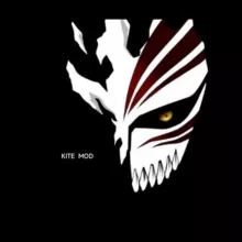 Kite File download