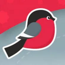 Калининка онлайн