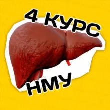 4 КУРС | НМУ