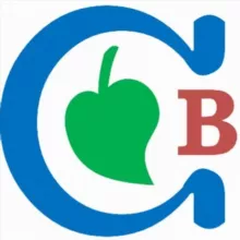 СТРОЙНЕЕМ ВМЕСТЕ