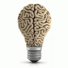 Факты💡