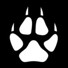 x Wolf Music x