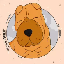 Тёплые Лапки 🐾