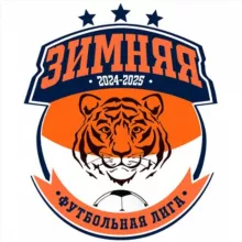 Зимняя футбольная лига 2024-2025