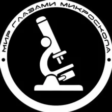 МИР ГЛАЗАМИ МИКРОСКОПА