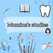 Mumina’s studies📔✨