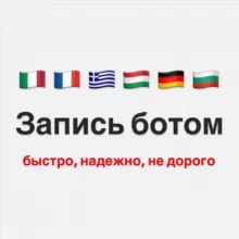 VFSGLOBAL - запись БОТОМ Франция