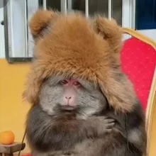 индика