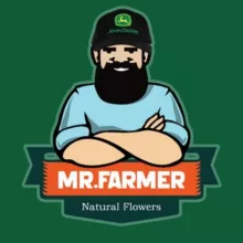 Mr Farmer canal