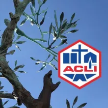 All’alba la Parola