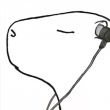 CAPYBARA TAPES