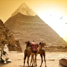🇪🇬 Египет • Информация