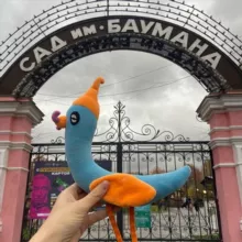 Лавка Чижика: книги и другие сокровища