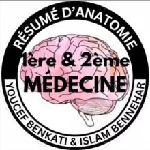 ✨Youcef & Islam's résumés✨
